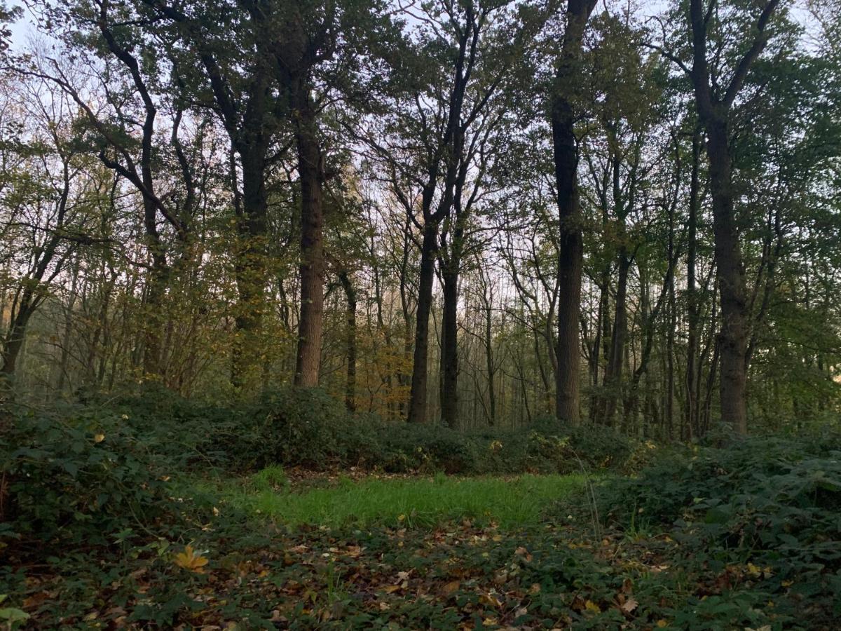 Le Gite Du Bois Greffier Fletre Buitenkant foto